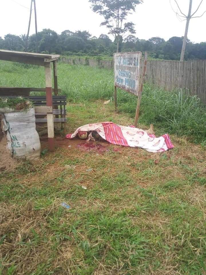 Geolocation of wood processing mill building in Ossing (5°38'22.2N 9°18'01.0E) burnt after being attacked by Ambazonia fighters leaving a member of Cameroon's military dead